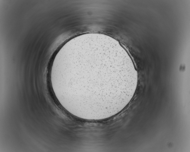 X0000101430242200808041158