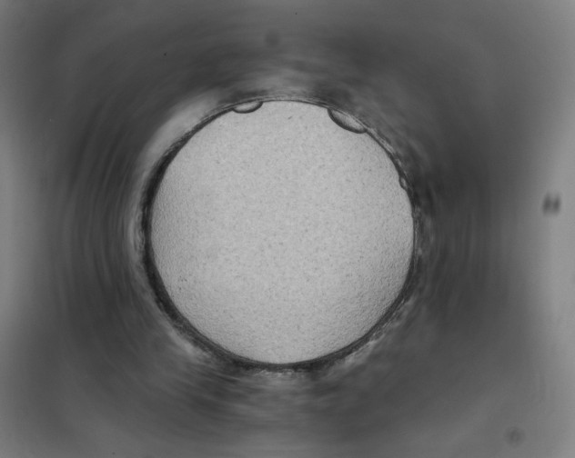 X0000101430245200808041158