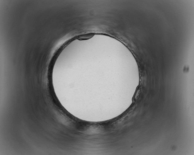 X0000101430248200808041158