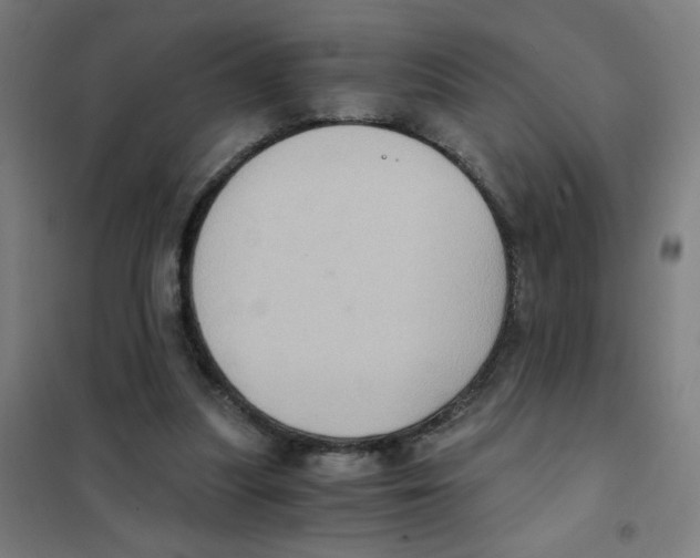 X0000101430251200808041158