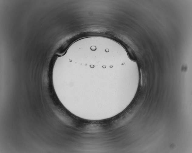 X0000101430252200808041158