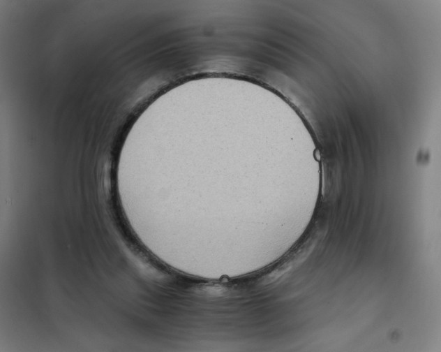 X0000101430253200808041158