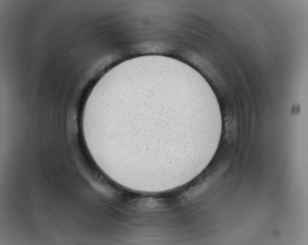 X0000101430254200808041158