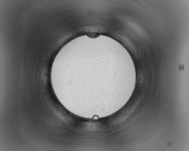 X0000101430255200808041158