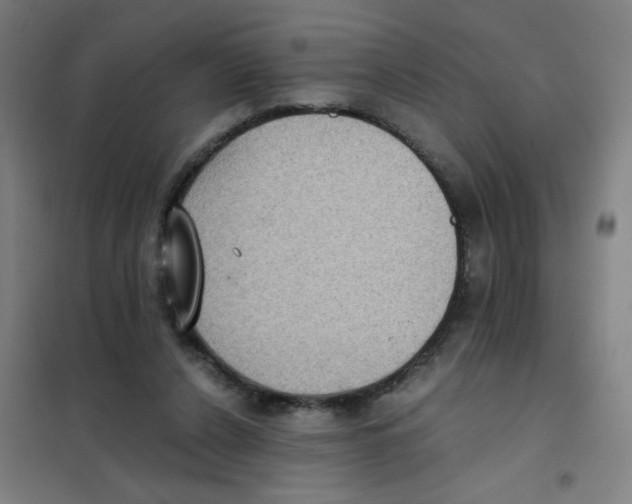 X0000101430256200808041158