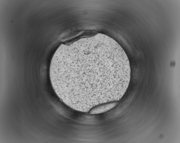 X0000101430260200808041158