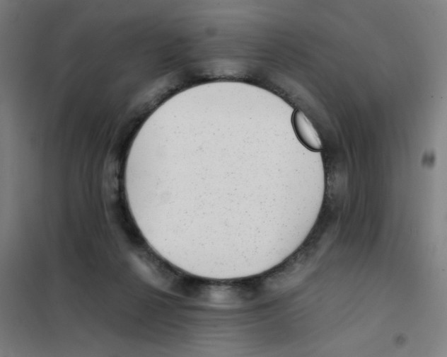 X0000101430264200808041158