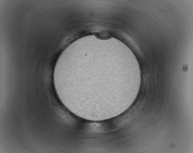 X0000101430265200808041158