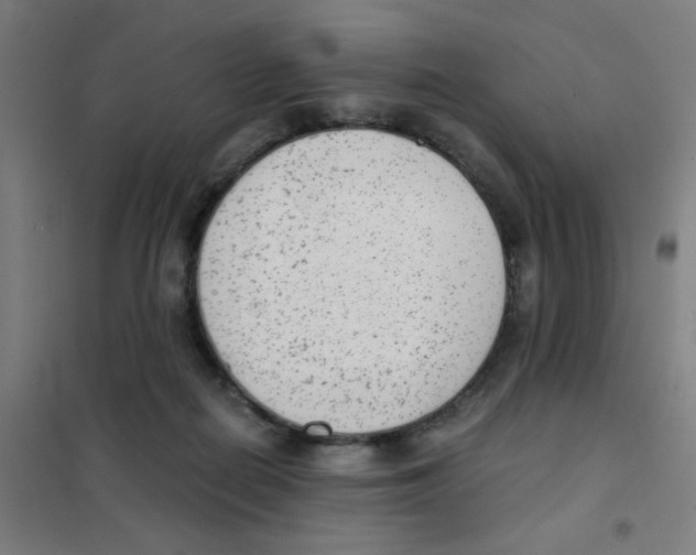 X0000101430266200808041158