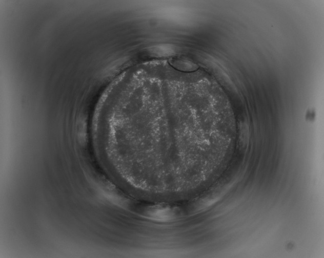 X0000101430267200808041158