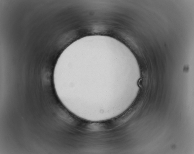 X0000101430269200808041158