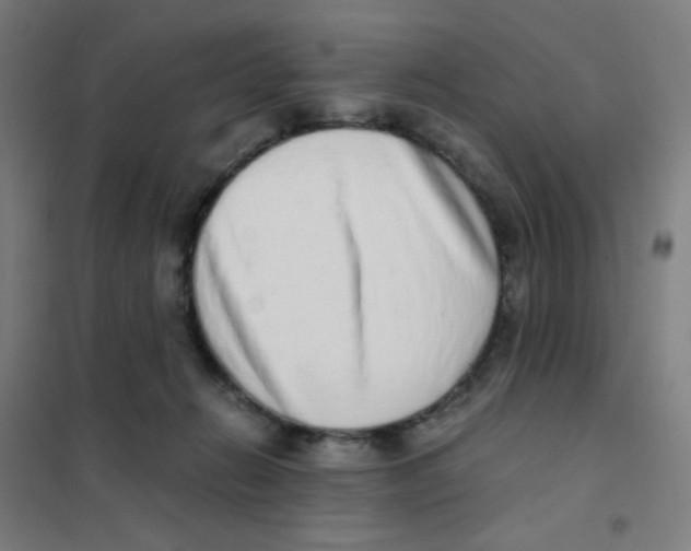 X0000101430270200808041158