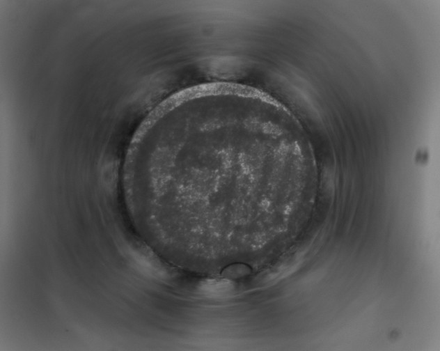 X0000101430271200808041158