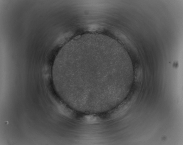 X0000101430272200808041158