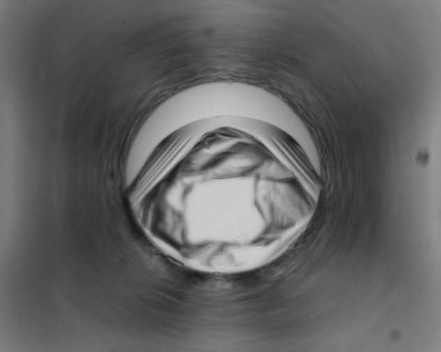 X0000101430276200808041158