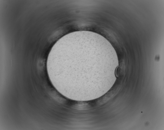 X0000101430278200808041158