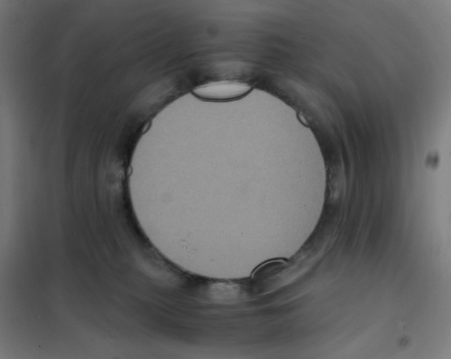 X0000101430279200808041158