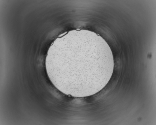 X0000101430280200808041158