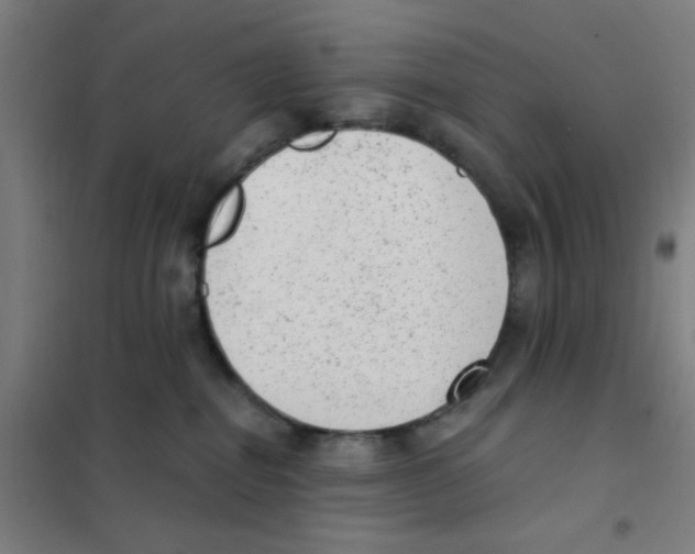 X0000101430282200808041158