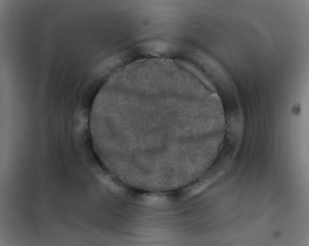 X0000101430284200808041158