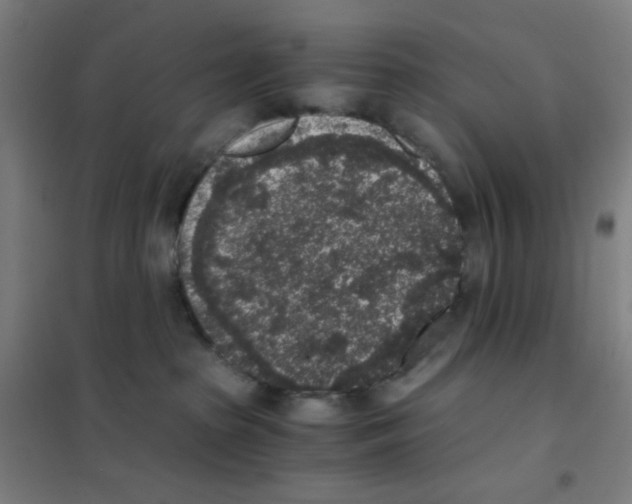 X0000101430285200808041158