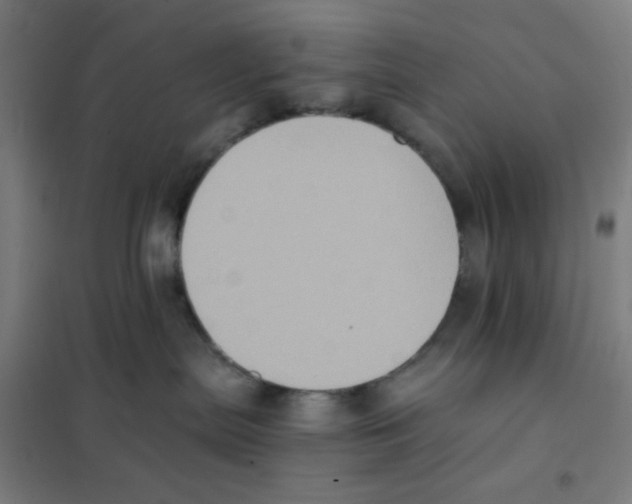 X0000101430287200808041158