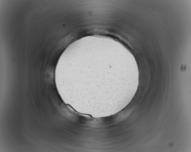 X0000101430288200808041158