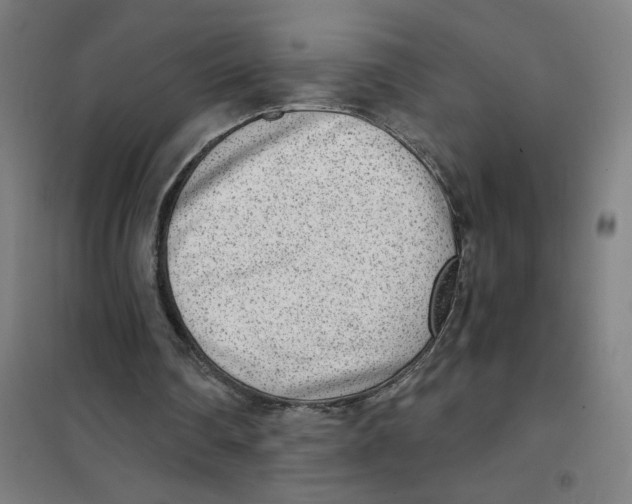 X0000101430290200808041158