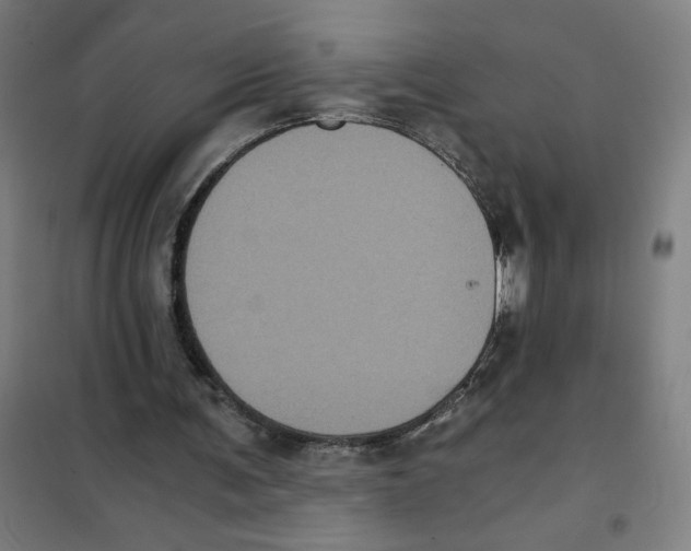 X0000101430291200808041158