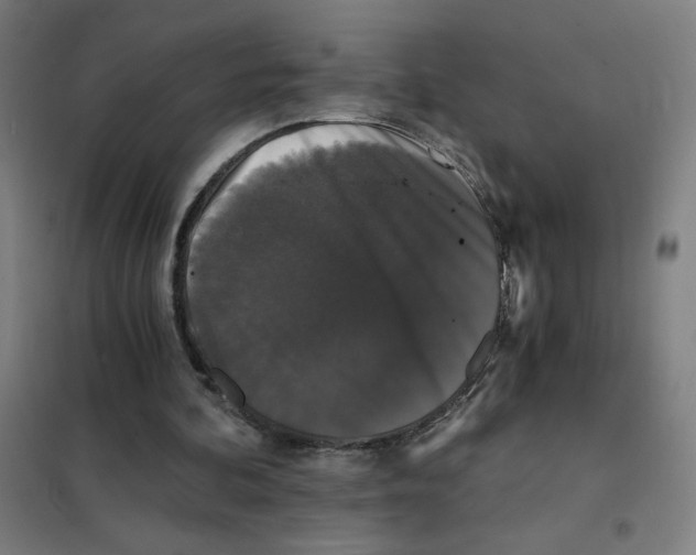 X0000101430292200808041158