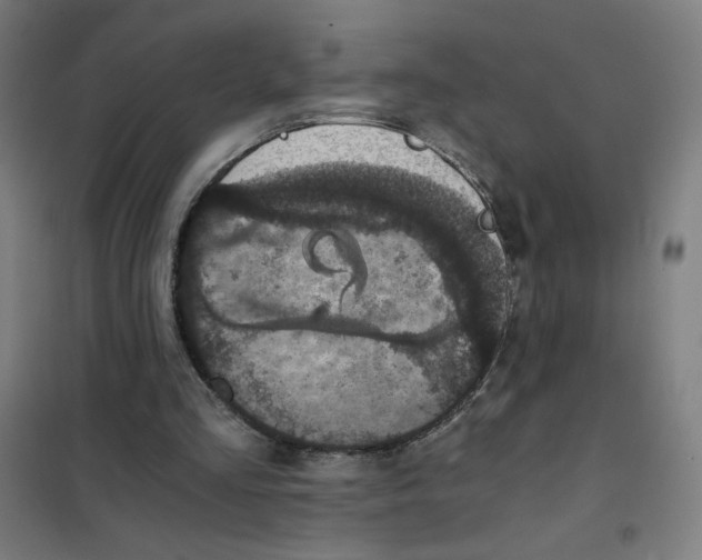 X0000101430293200808041158