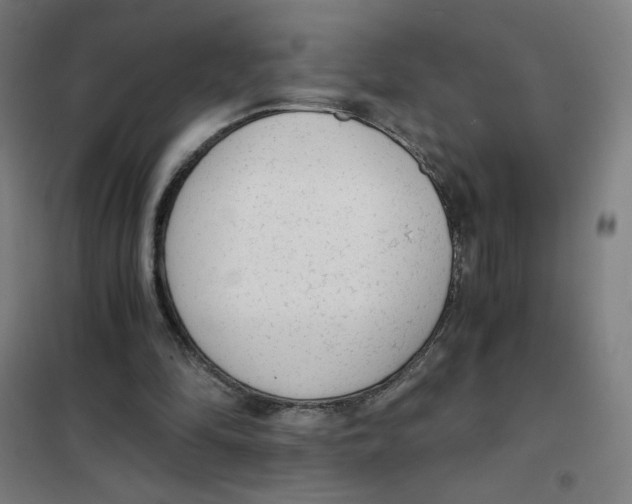 X0000101430294200808041157