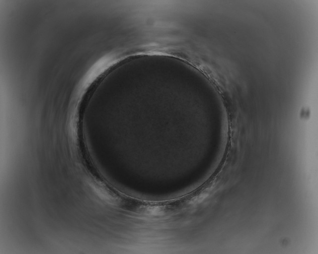 X0000101430295200808041157