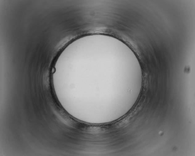 X0000101430298200808041157