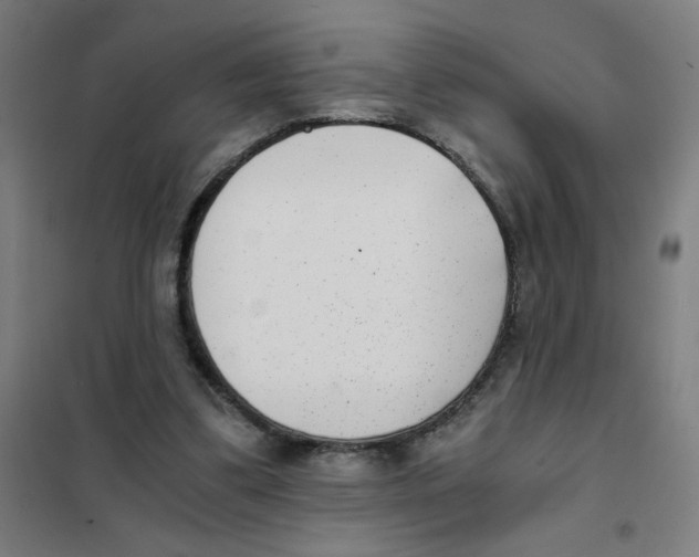 X0000101430299200808041157