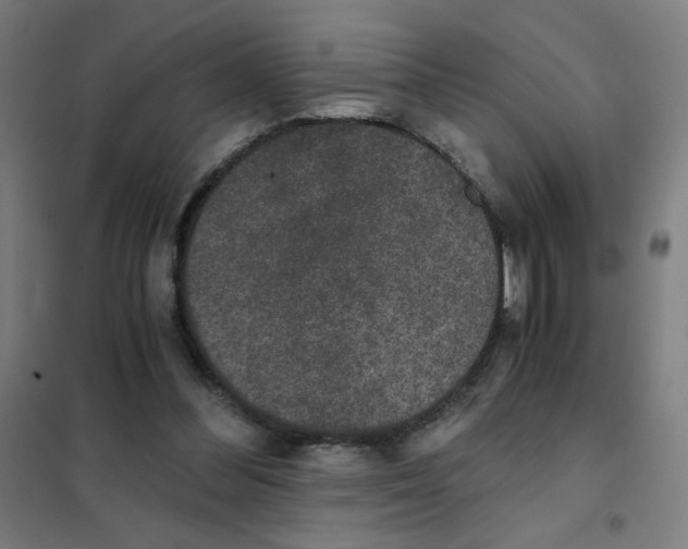 X0000101430300200808041157