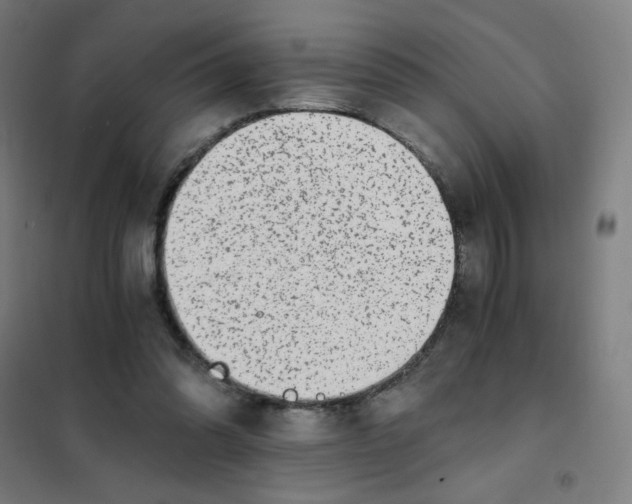 X0000101430302200808041157