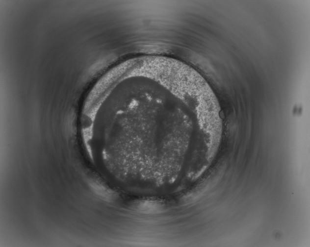 X0000101430303200808041157