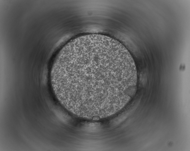 X0000101430304200808041157