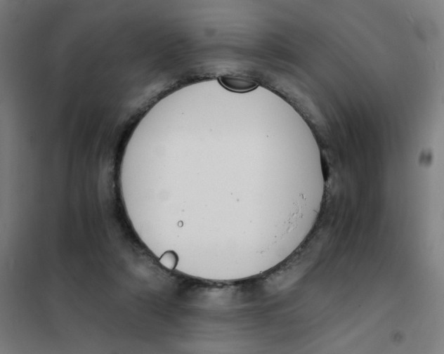 X0000101430306200808041157