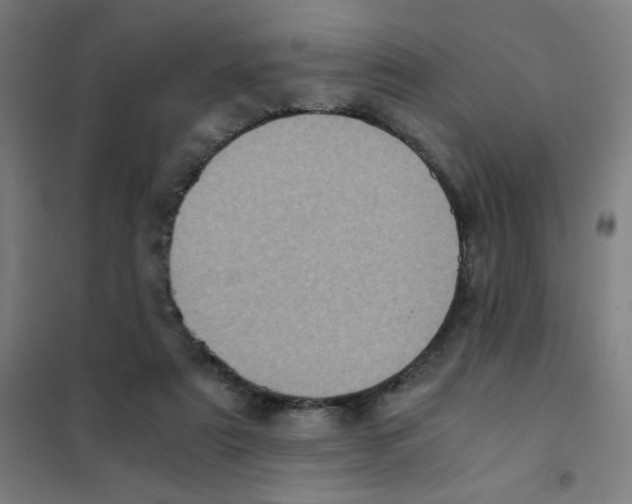 X0000101430307200808041157