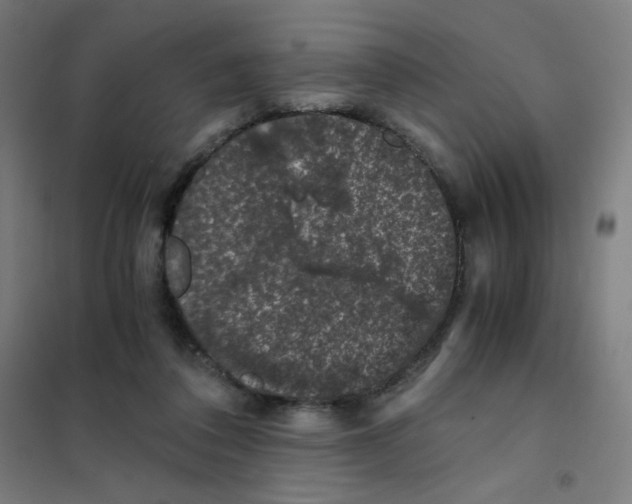 X0000101430308200808041157