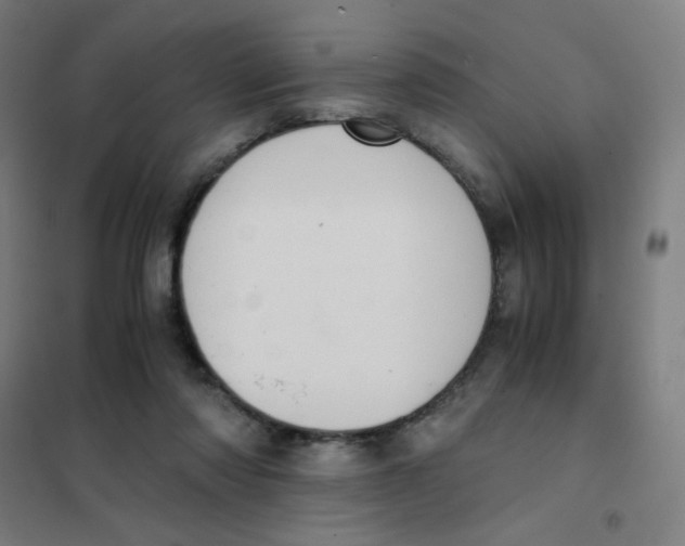 X0000101430310200808041157