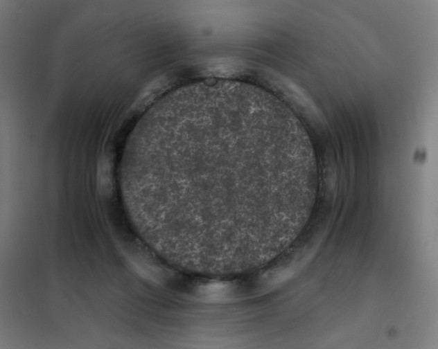 X0000101430312200808041157