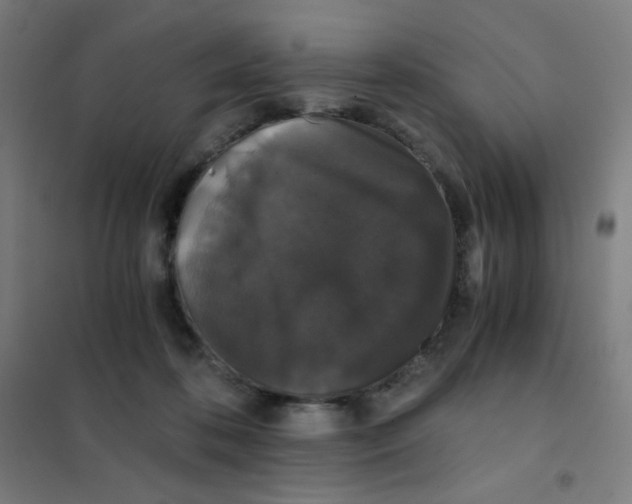 X0000101430316200808041157