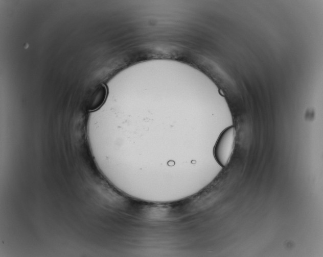 X0000101430318200808041157