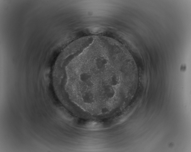 X0000101430319200808041157