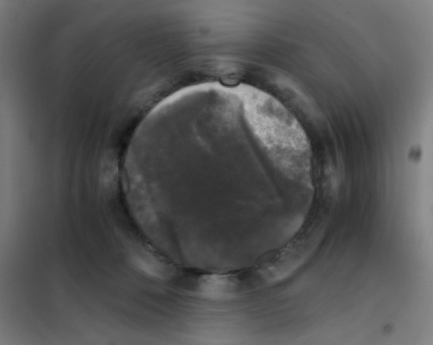 X0000101430320200808041157