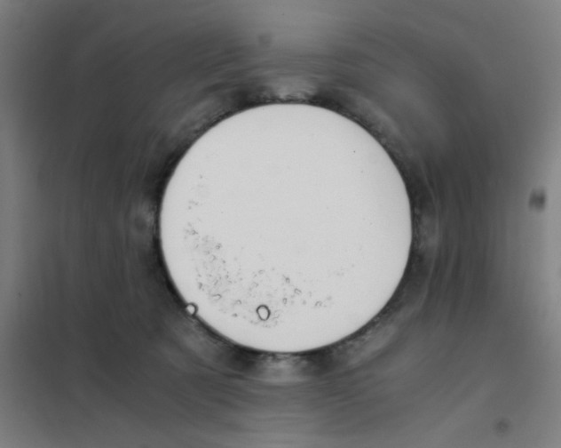 X0000101430321200808041157