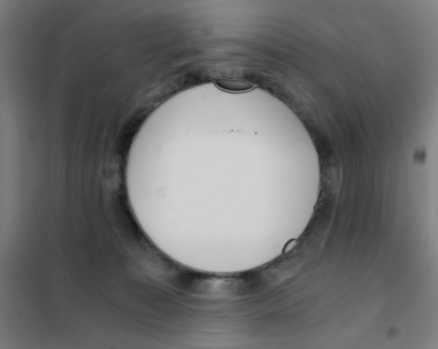 X0000101430323200808041157